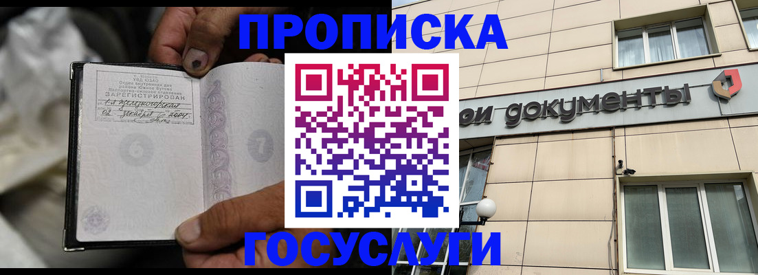 найти адрес прописки в Полярных Зорях